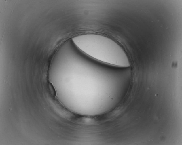 X0000112140509200908070942