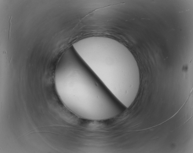 X0000112140515200908070942