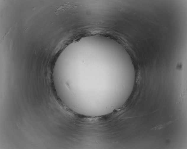 X0000112140524200908070941