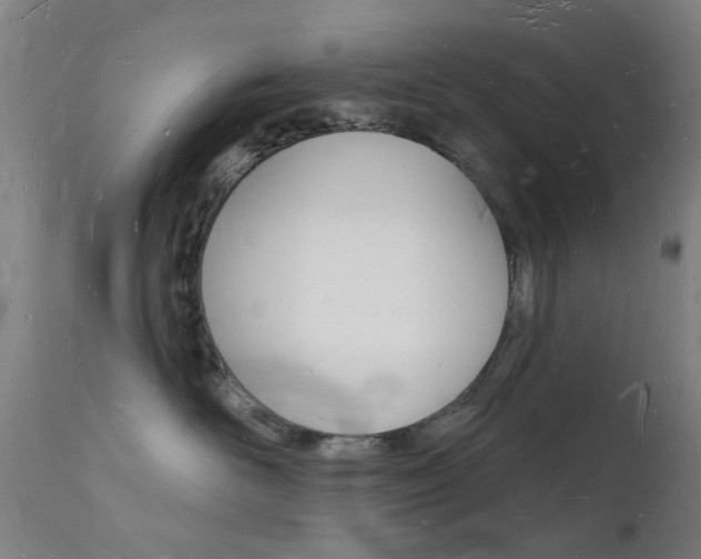 X0000112140526200908070941