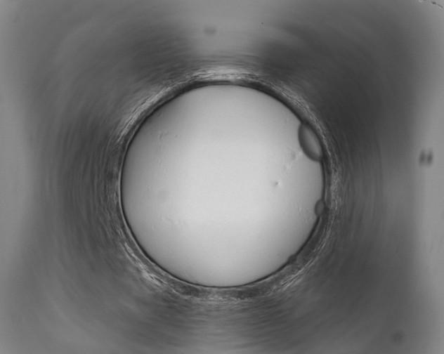 X0000112140529200908070941