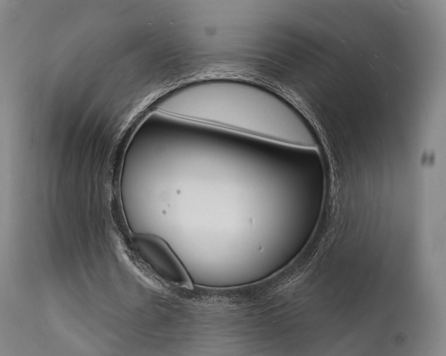 X0000112140530200908070941