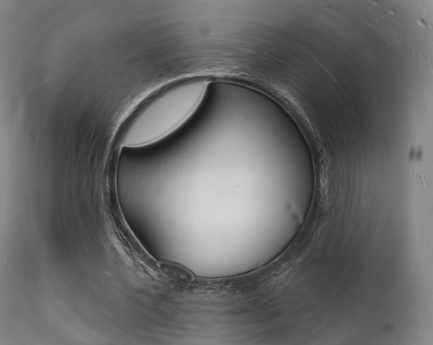 X0000112140532200908070941