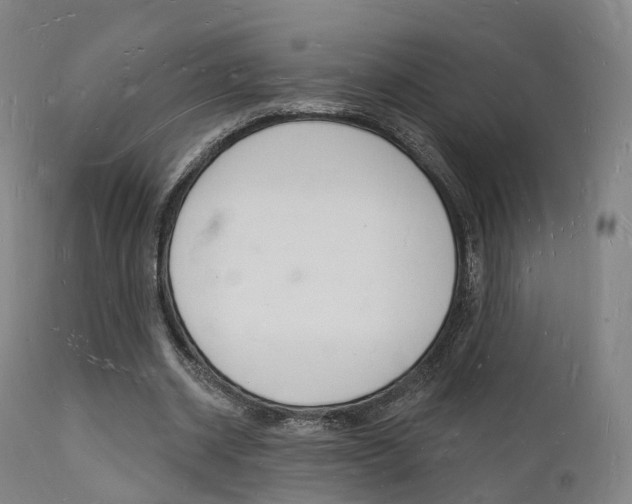 X0000112140534200908070941