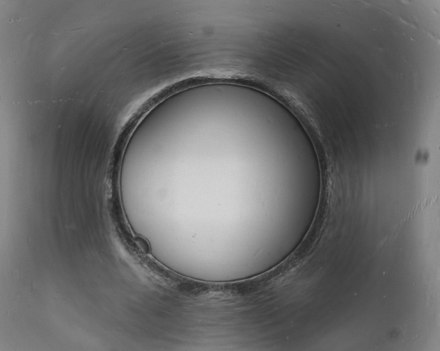 X0000112140536200908070941