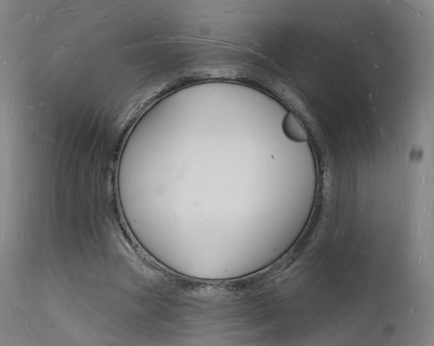 X0000112140537200908070941