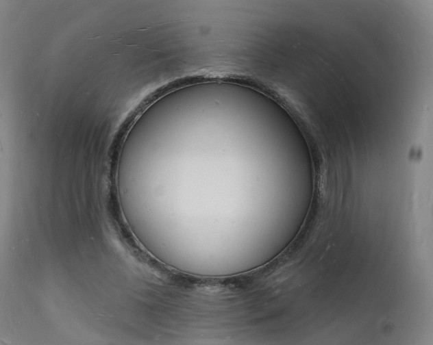 X0000112140540200908070941