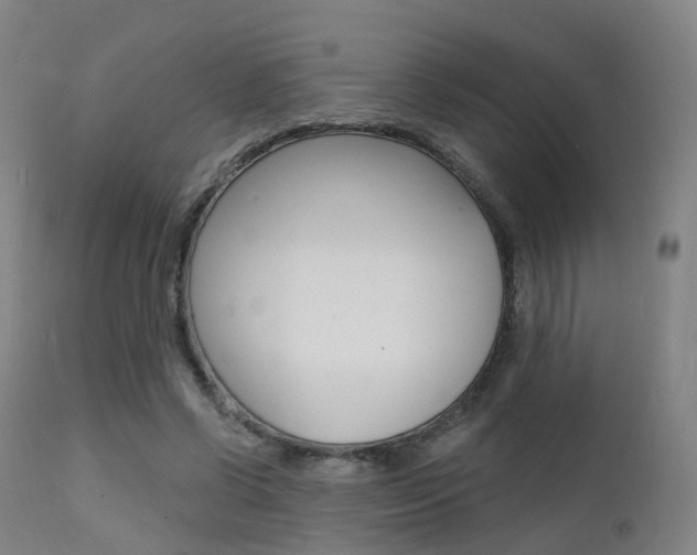 X0000112140542200908070941
