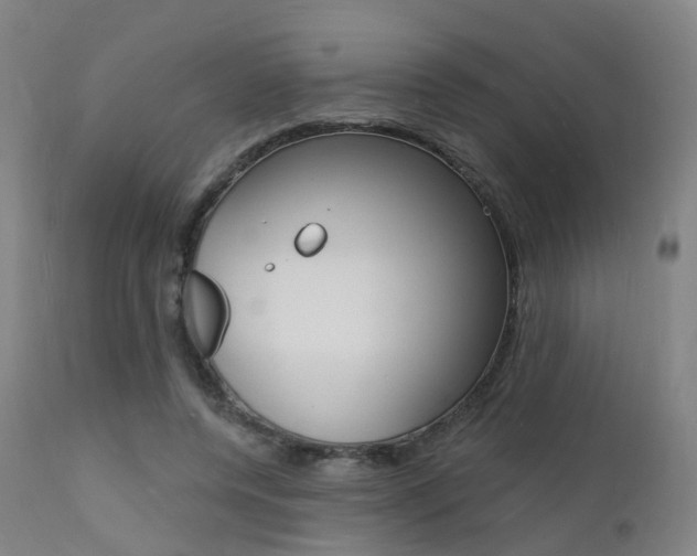 X0000112140544200908070941