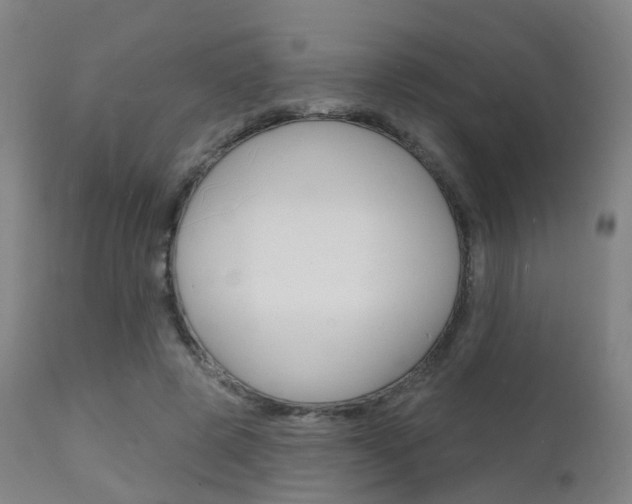 X0000112140545200908070941