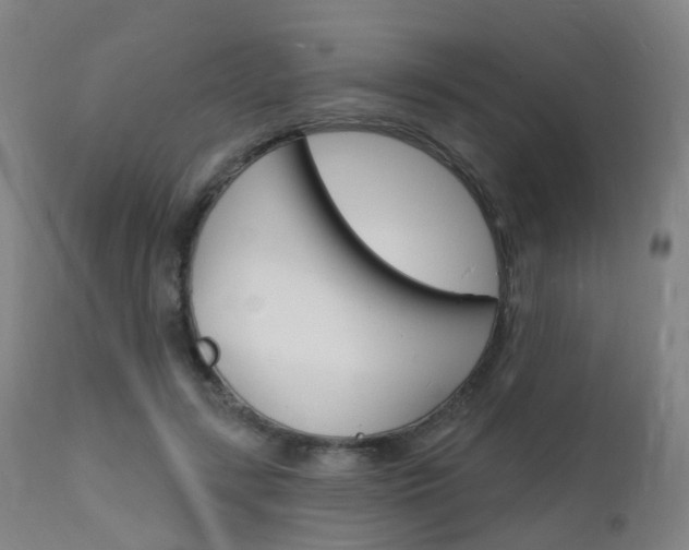 X0000112140547200908070941