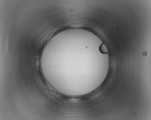 X0000112140549200908070941