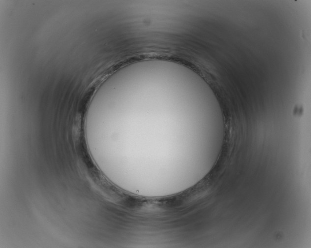 X0000112140550200908070941