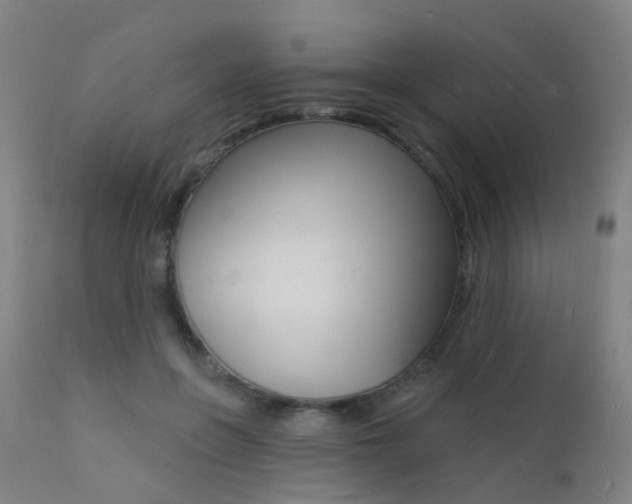 X0000112140551200908070941
