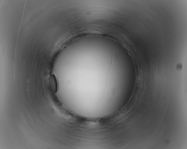 X0000112140552200908070941