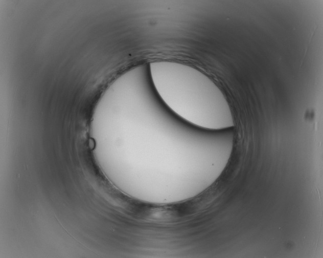 X0000112140555200908070941