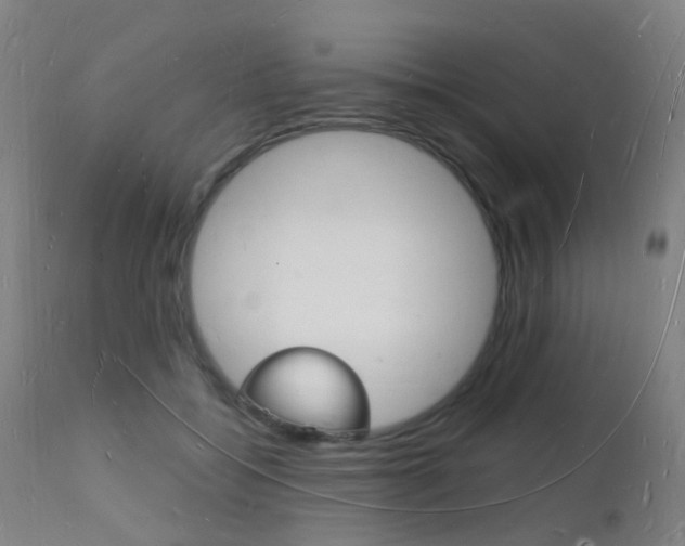 X0000112140556200908070941