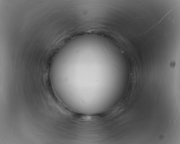 X0000112140558200908070941