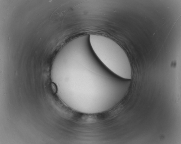 X0000112140559200908070941