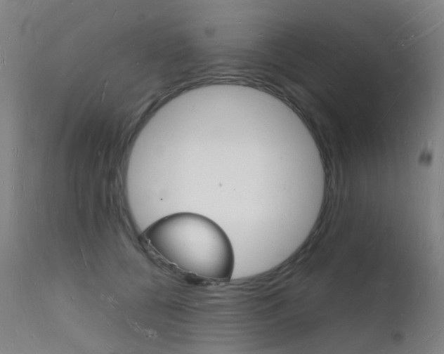 X0000112140560200908070941