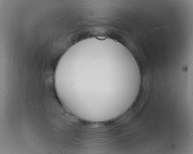 X0000112140561200908070941