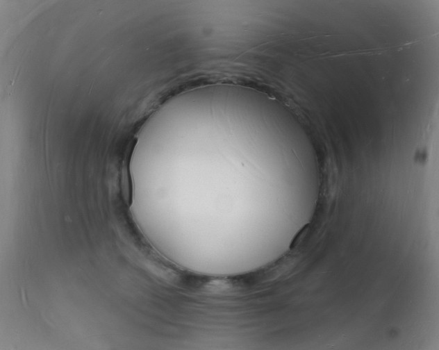 X0000112140562200908070941
