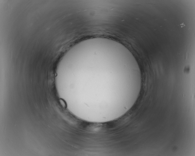 X0000112140563200908070941