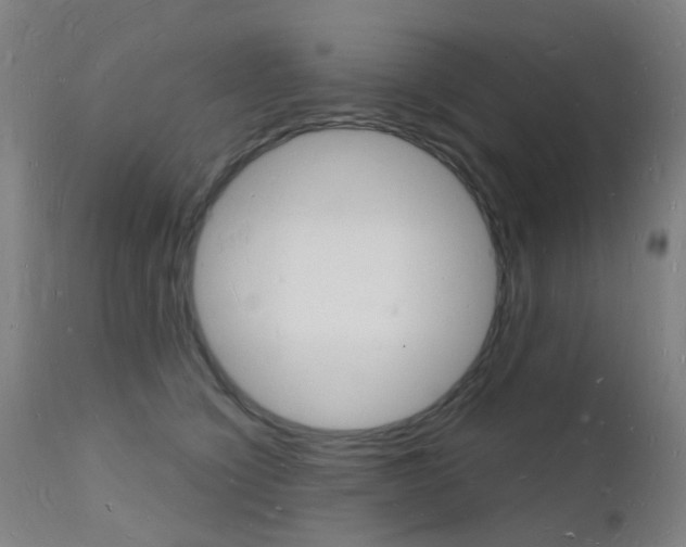 X0000112140564200908070941