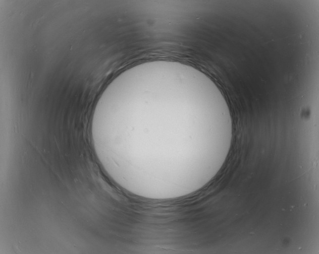 X0000112140568200908070941