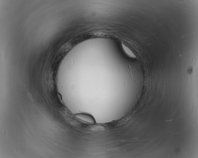 X0000112140572200908070941