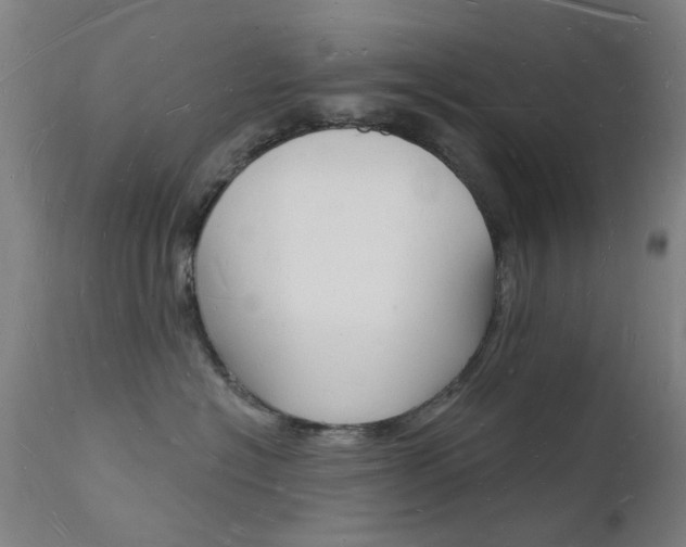 X0000112140574200908070941