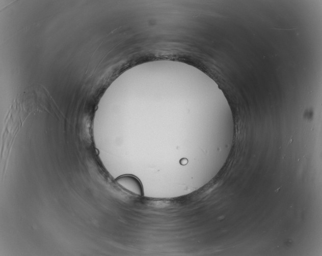 X0000112140575200908070941