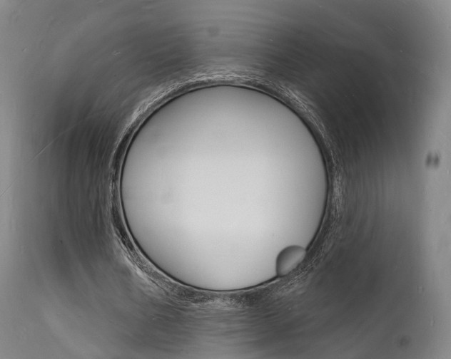 X0000112140578200908070941