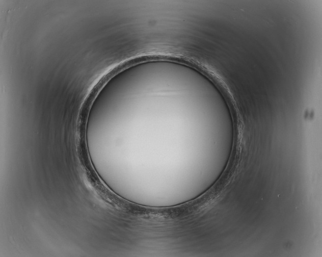 X0000112140580200908070940