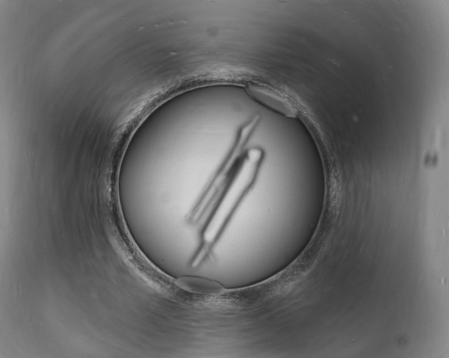 X0000112140581200908070940