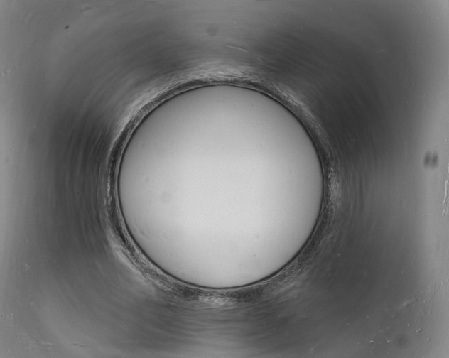 X0000112140582200908070940