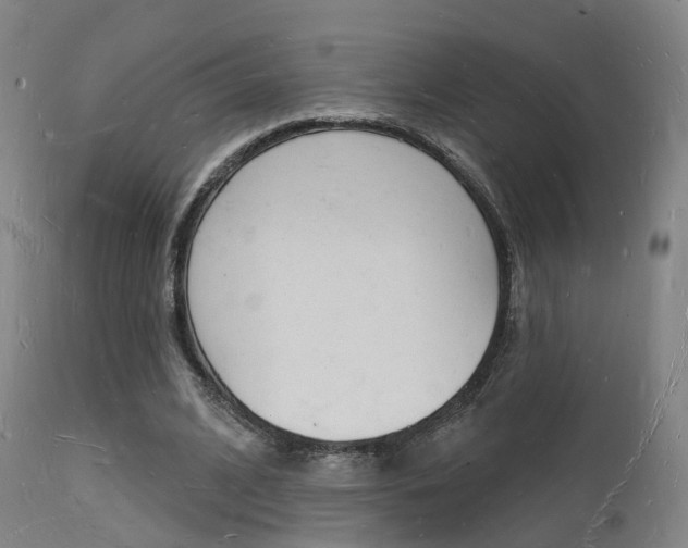 X0000112140584200908070940