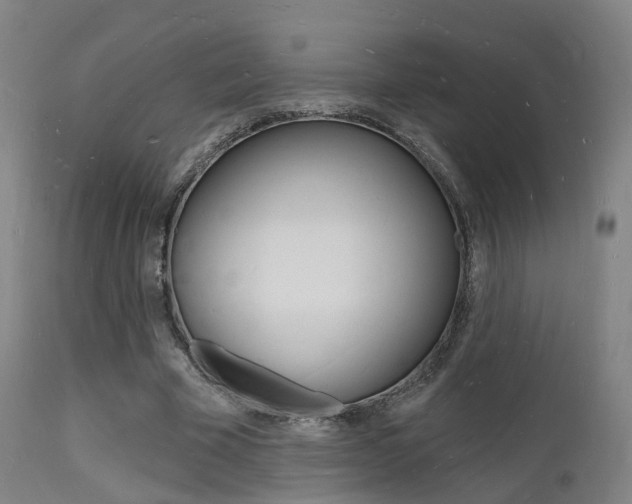 X0000112140585200908070940