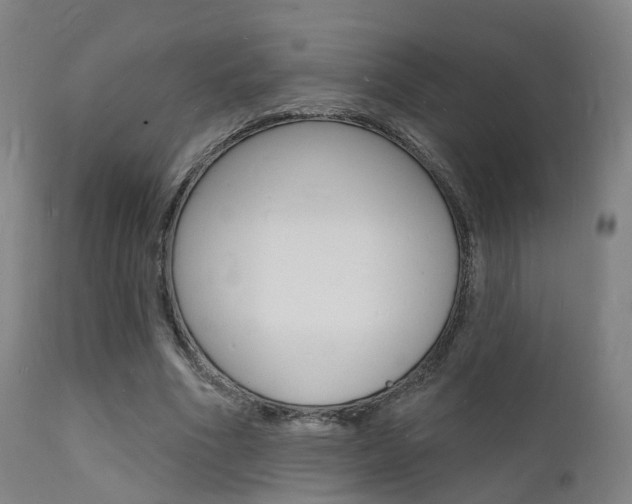 X0000112140586200908070940