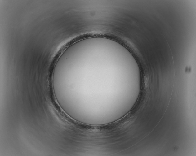 X0000112140588200908070940