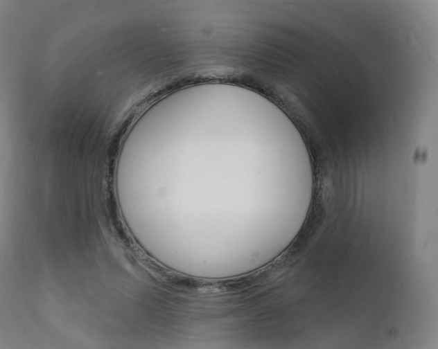 X0000112140591200908070940