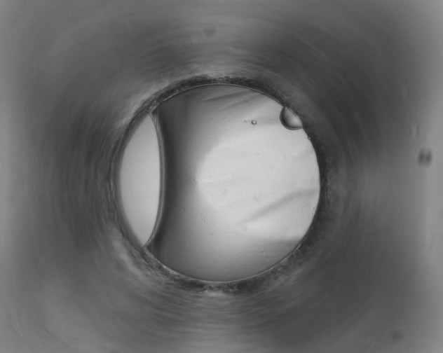 X0000112140592200908070940