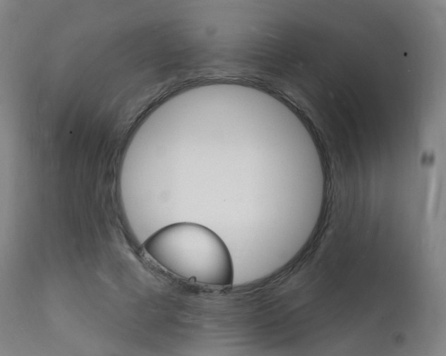 X0000112140593200908070940