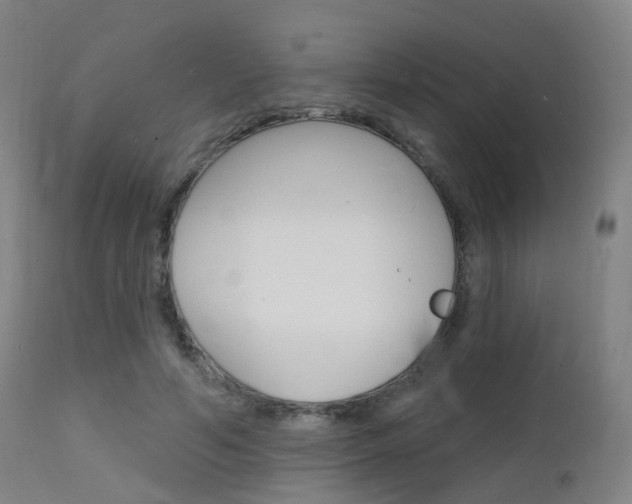 X0000112140594200908070940