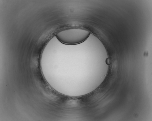 X0000112140595200908070940