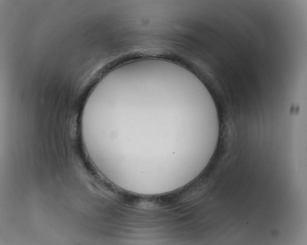 X0000112140596200908070940