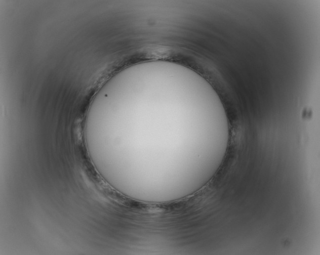 X0000112140598200908070940