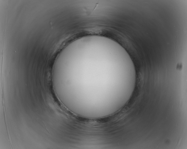 X0000112140600200908070940