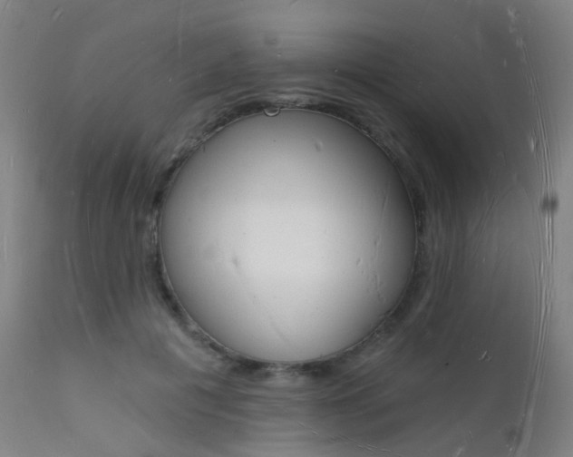 X0000112140601200908070940