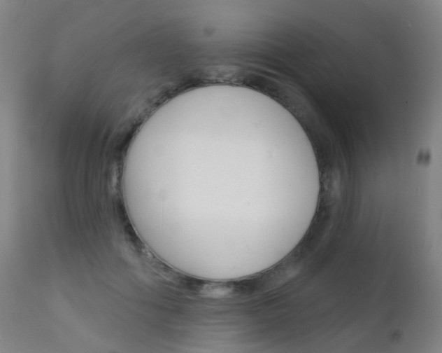 X0000112140602200908070940